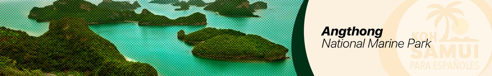 Banner Excursión Angtong National Marine Park