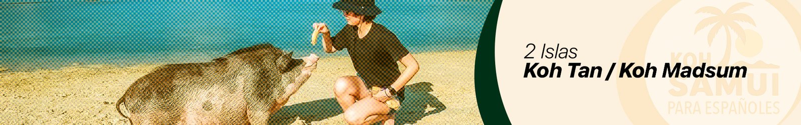 Banner Koh Tan : Koh Madsun