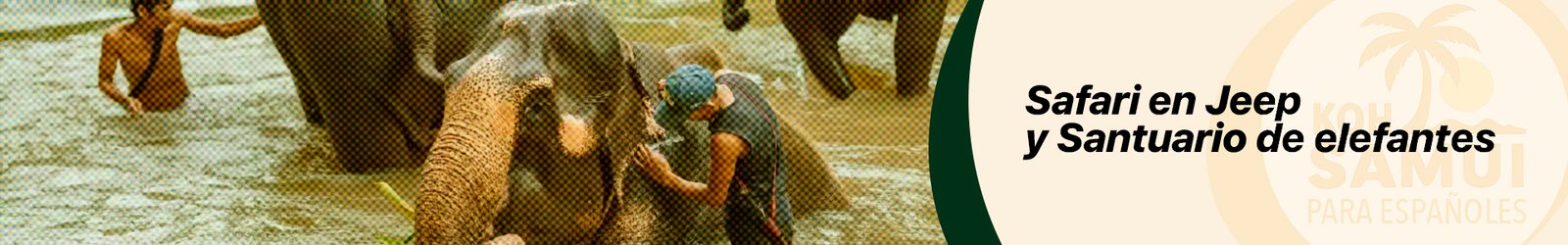Banner Pack Safari en Jeep + Santuario de elefantes