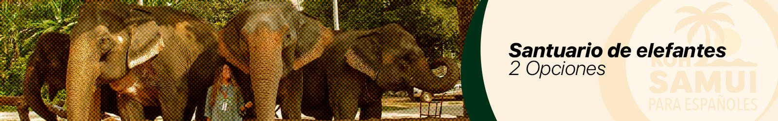 Banner Santuario de elefantes