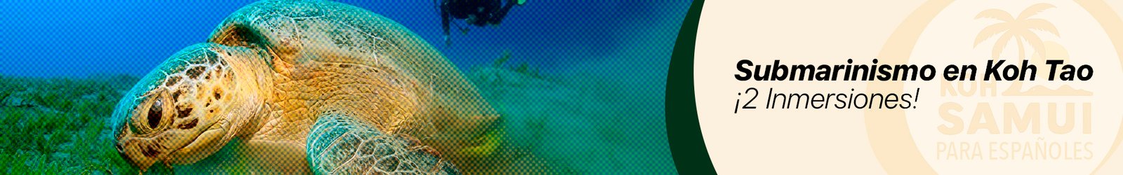 Banner Submarinismo en Koh Tao