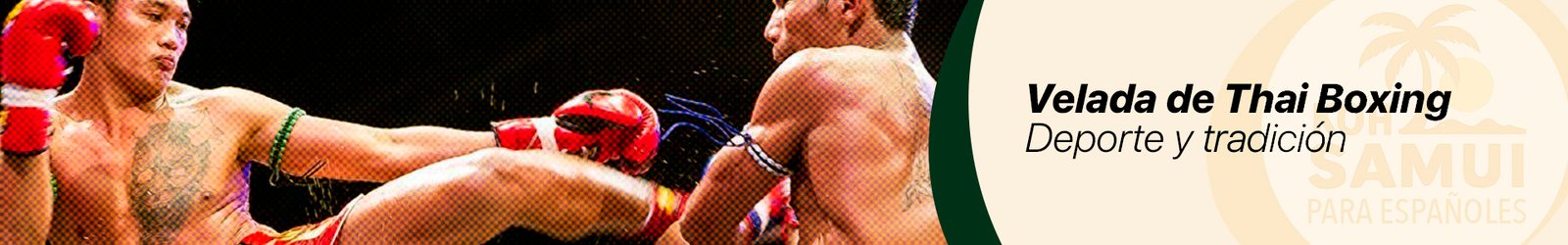 Banner Velada de Thai Boxing
