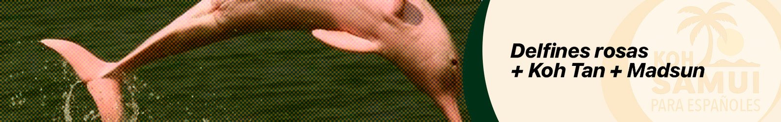 Banner delfines rosas