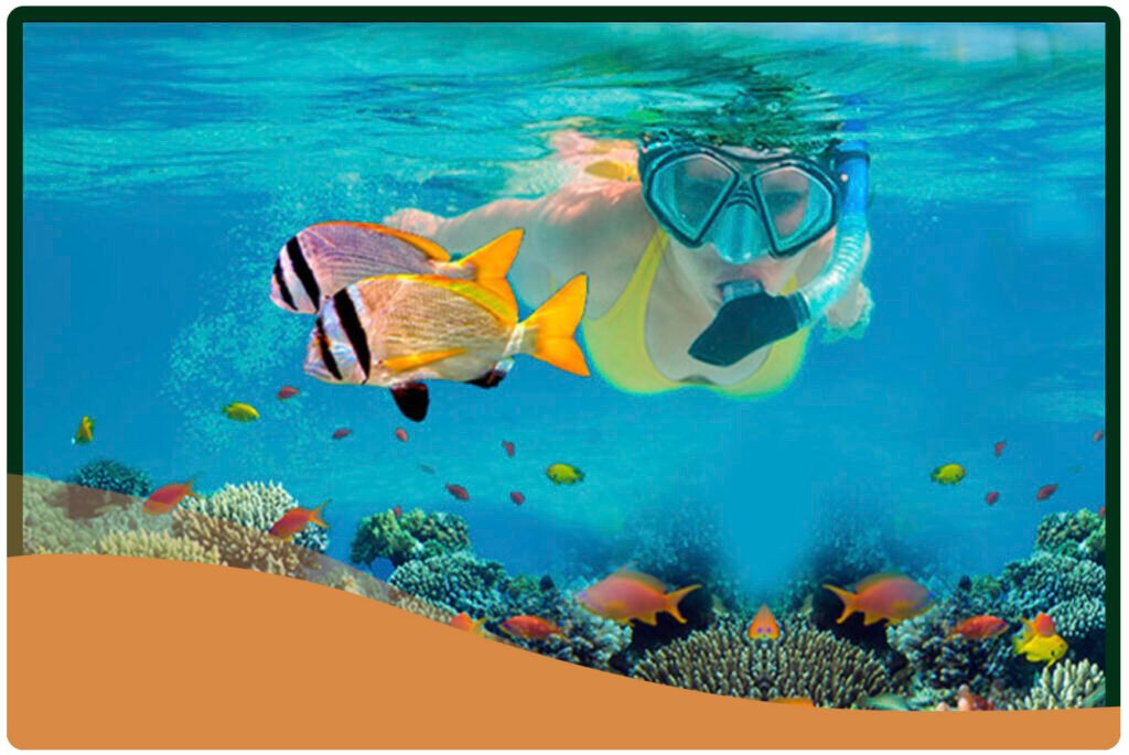 Koh Samui Experience - Excursión Buceo Koh Tao / Koh Nang Yuan